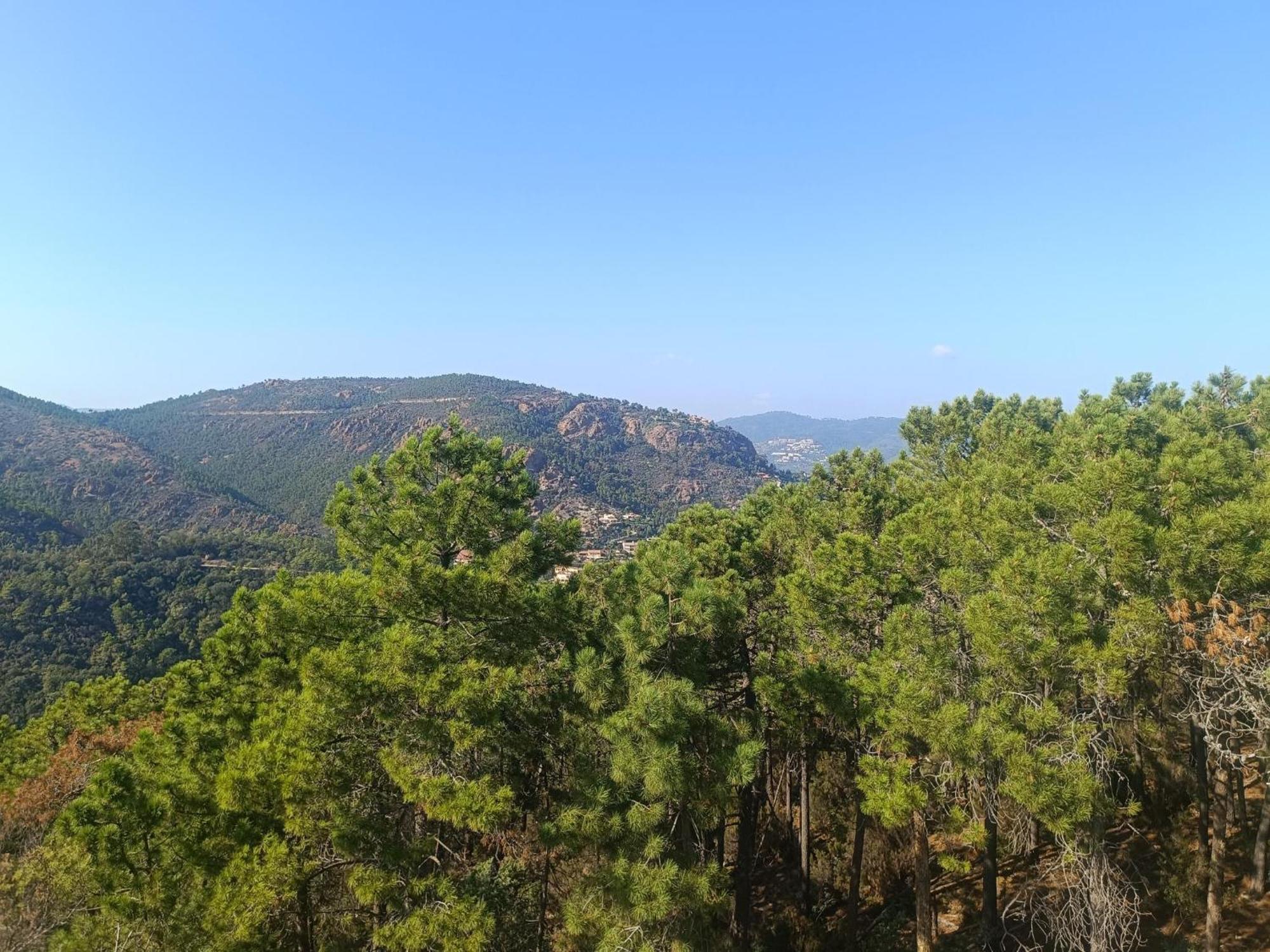 Magnifique Vue Mer Et Piscine - Les Cles De L Esterel Теуль-сюр-Мер Экстерьер фото